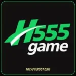 H555 Game