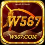 W567 Game